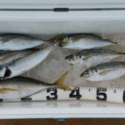 火遠理丸（ほおりまる） 釣果