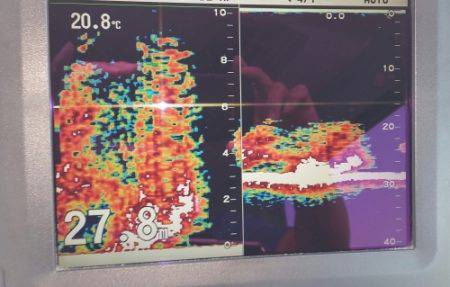 火遠理丸（ほおりまる） 釣果