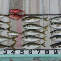 火遠理丸（ほおりまる） 釣果