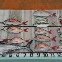 火遠理丸（ほおりまる） 釣果