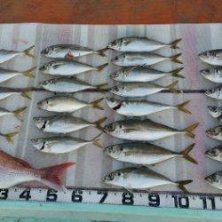 火遠理丸（ほおりまる） 釣果