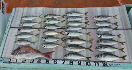 火遠理丸（ほおりまる） 釣果