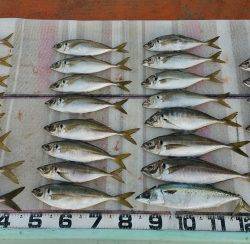 火遠理丸（ほおりまる） 釣果