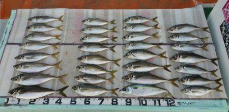 火遠理丸（ほおりまる） 釣果