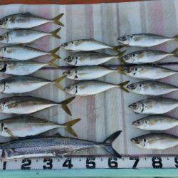 火遠理丸（ほおりまる） 釣果