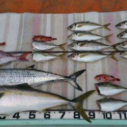 火遠理丸(ほおりまる) 釣果