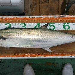 火遠理丸(ほおりまる) 釣果