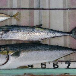 火遠理丸(ほおりまる) 釣果