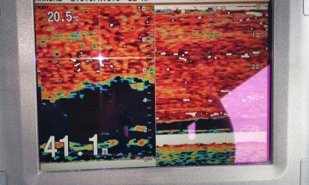 火遠理丸(ほおりまる) 釣果