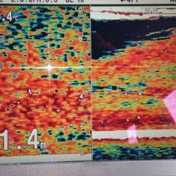 火遠理丸(ほおりまる) 釣果
