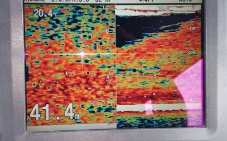火遠理丸(ほおりまる) 釣果
