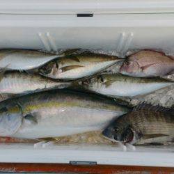 火遠理丸（ほおりまる） 釣果