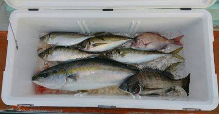 火遠理丸（ほおりまる） 釣果