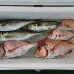 火遠理丸（ほおりまる） 釣果