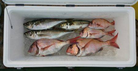 火遠理丸（ほおりまる） 釣果