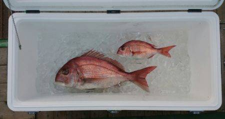 火遠理丸（ほおりまる） 釣果