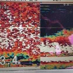 火遠理丸（ほおりまる） 釣果