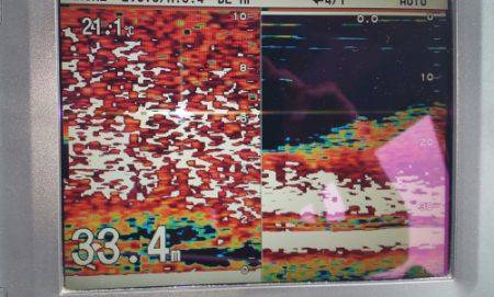 火遠理丸（ほおりまる） 釣果