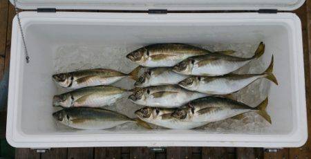 火遠理丸（ほおりまる） 釣果