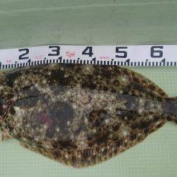 気仙沼　つり丸 釣果