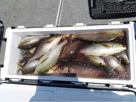 第二大福丸 釣果