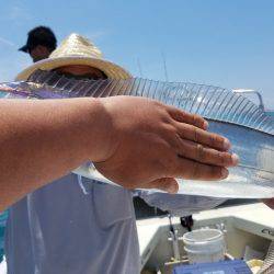 遊漁船 ニライカナイ 釣果