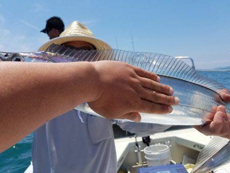 遊漁船 ニライカナイ 釣果
