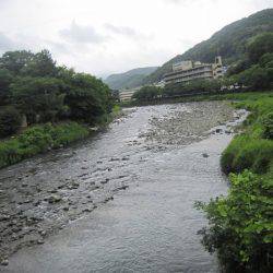狩野川（狩野川漁業協同組合） 釣果