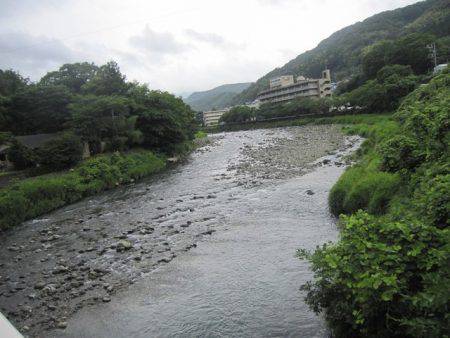 狩野川（狩野川漁業協同組合） 釣果