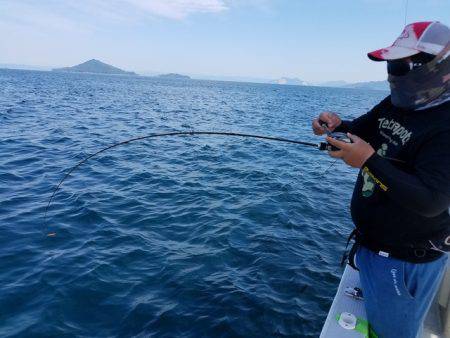 遊漁船　ニライカナイ 釣果