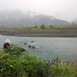 安倍川・藁科川（安倍藁科川漁業協同組合） 釣果