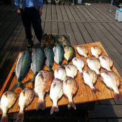 海上釣堀フィッシングレインボー 釣果