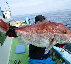利八丸 釣果