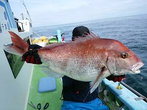 利八丸 釣果