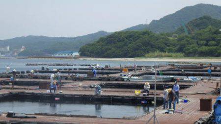 淡路じゃのひれフィッシングパーク 釣果