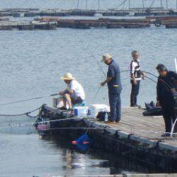 淡路じゃのひれフィッシングパーク 釣果