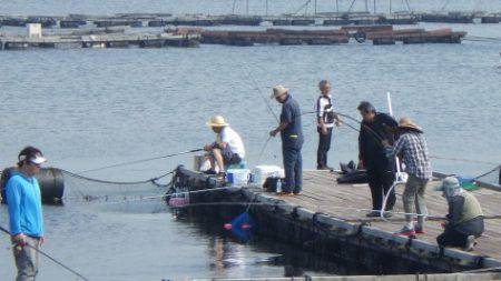 淡路じゃのひれフィッシングパーク 釣果