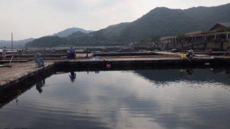 淡路じゃのひれフィッシングパーク 釣果