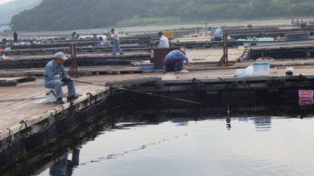 淡路じゃのひれフィッシングパーク 釣果