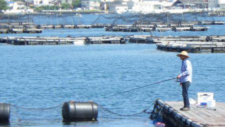 淡路じゃのひれフィッシングパーク 釣果
