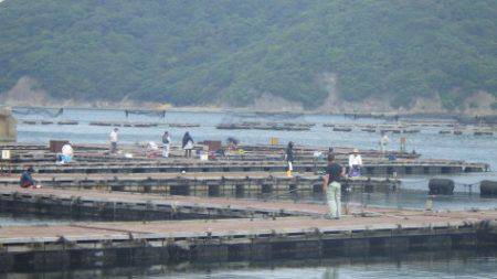 淡路じゃのひれフィッシングパーク 釣果