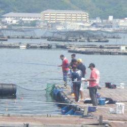 淡路じゃのひれフィッシングパーク 釣果