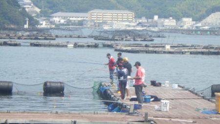 淡路じゃのひれフィッシングパーク 釣果