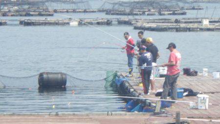淡路じゃのひれフィッシングパーク 釣果