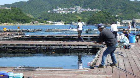 淡路じゃのひれフィッシングパーク 釣果