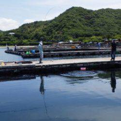 淡路じゃのひれフィッシングパーク 釣果