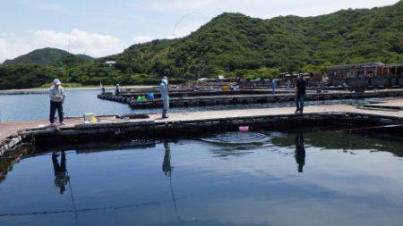 淡路じゃのひれフィッシングパーク 釣果