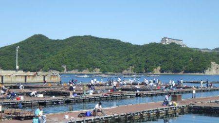 淡路じゃのひれフィッシングパーク 釣果