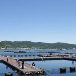 淡路じゃのひれフィッシングパーク 釣果