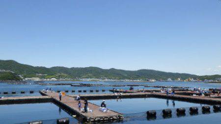 淡路じゃのひれフィッシングパーク 釣果